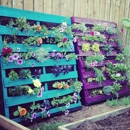 Outdoor Garden with pallets